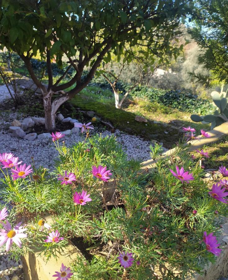 Onur Motel Faralya Fethiye Luaran gambar